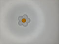 White Chenille Daisy Patch