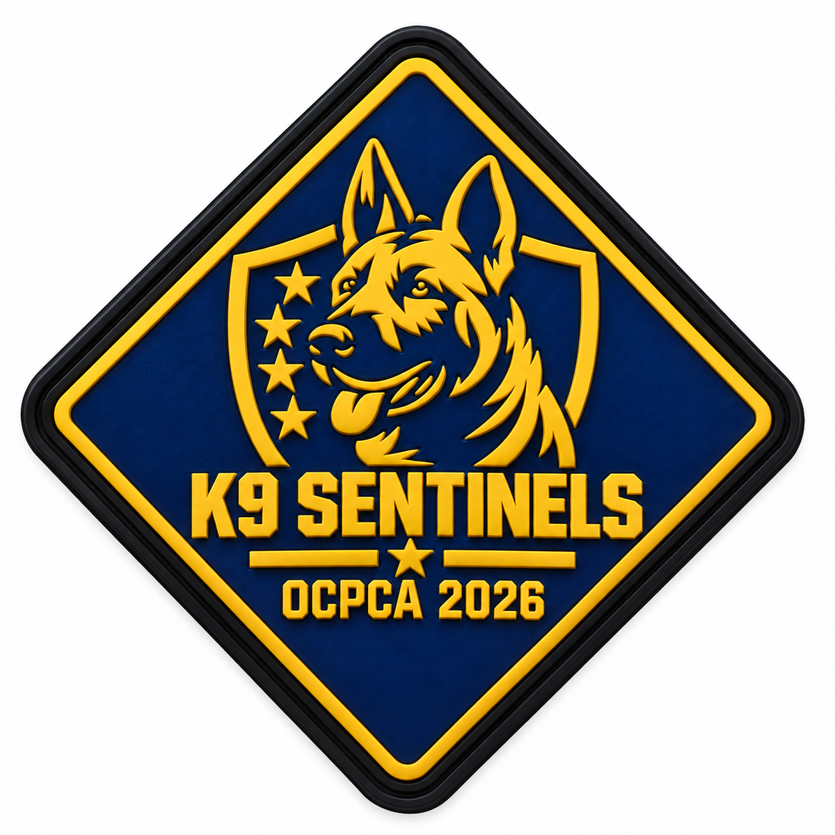2D PVC Patches