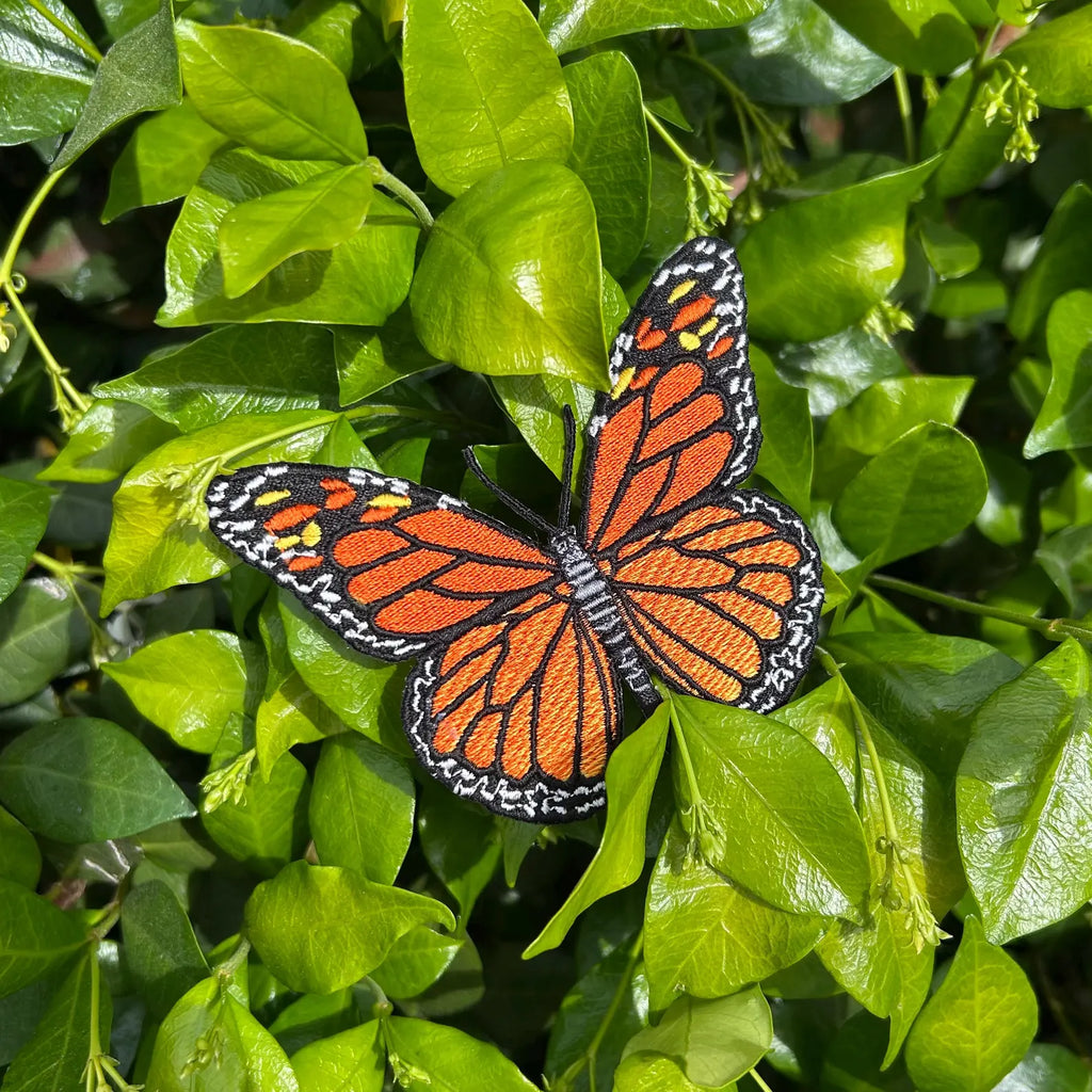 Butterfly Embroidered Patch
