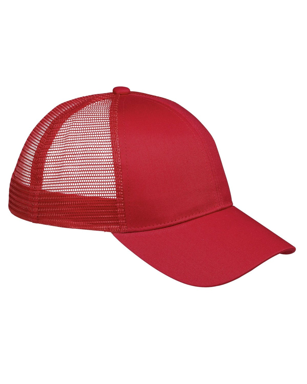 Big Accessories BX019 6-Panel Structured Trucker Hat
